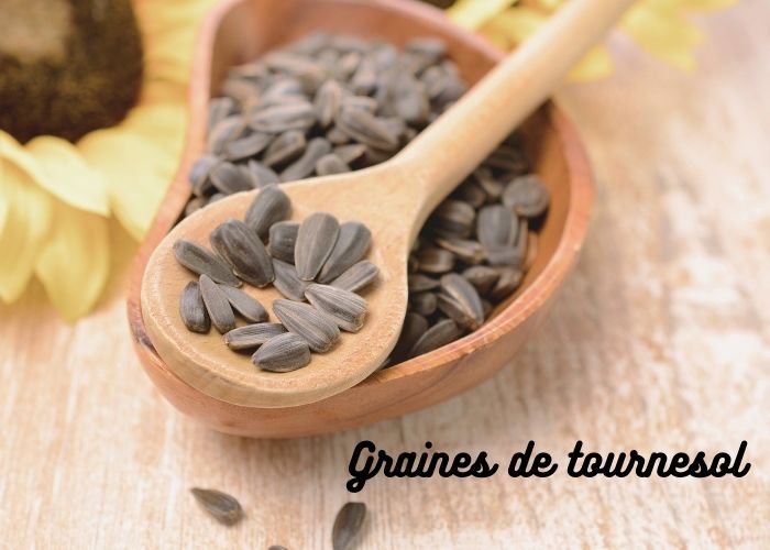 graine de tournesol regime pour perdre du poids rapidement